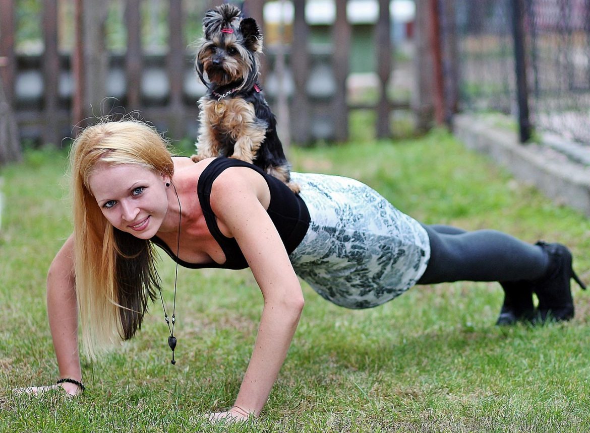 Gentle Digestion for Yorkies